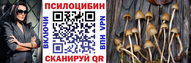 наркотики  Рыбинск  Псилоцибиновые грибы Psilocybine cubensis 